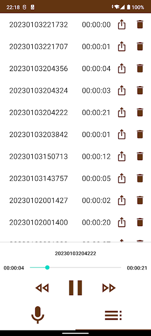 Simple Voice Recorder Screenshot 2