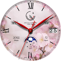 JW166 jwstudio watchface