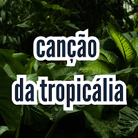 canção da tropicália