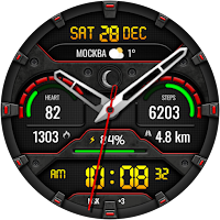 Hybrid WARTAN WS100 Watch face