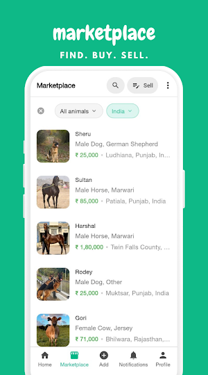 AnimalHub - Social Network Screenshot 2