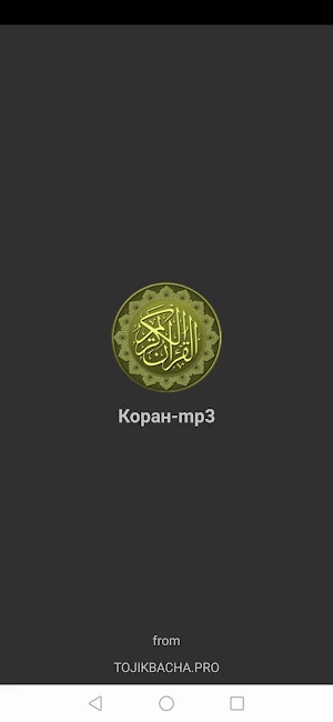 Коран mp3 без интернета. Screenshot 0