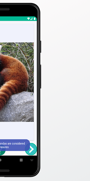 Panda Images and Facts Screenshot 3
