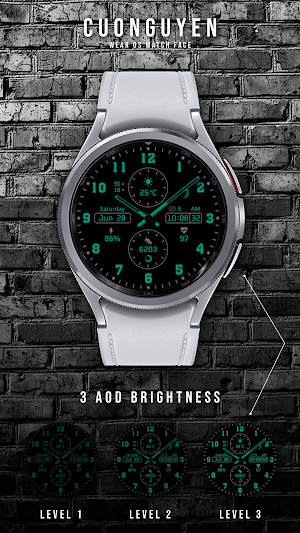 Watch face CNW-34 Screenshot 1
