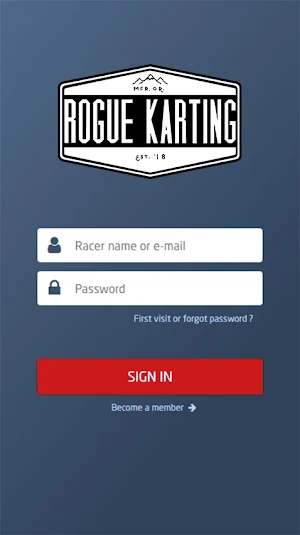 Rogue karting Screenshot 0