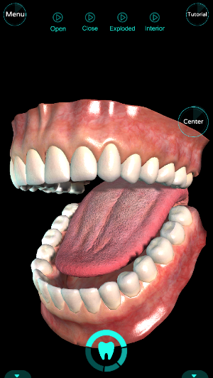 Dental Pro Screenshot 1