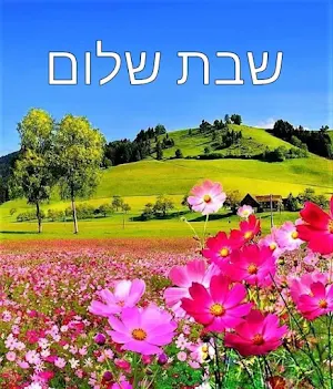 שבת שלום Screenshot 3