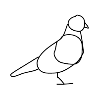 Pigeon Café & Bar