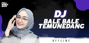 Dj Remix Bale Bale Temunedang Screenshot 0
