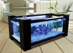 Aquarium Design Screenshot 3