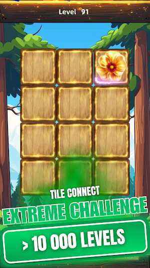 Extreme Challenge Tile Connect Screenshot 1
