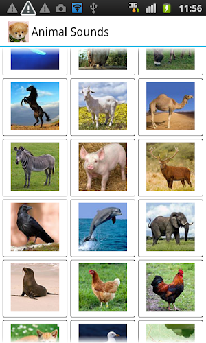 Animal Sounds Screenshot 2