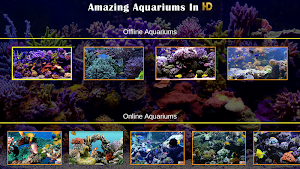 Amazing Aquariums In HD Screenshot 1