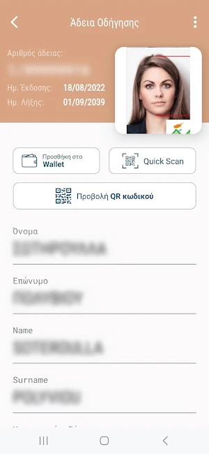 Ψηφιακός Πολίτης Screenshot 3