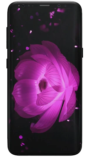 Rose Wallpapers Screenshot 2