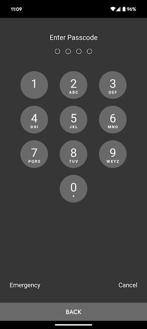 radKIDS Practice 911 Screenshot 2