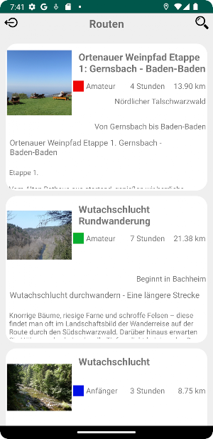 Schwarzwald Hiking Shoe Screenshot 2