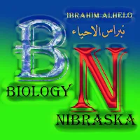 نبراس الاذكياء