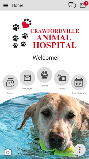 Crawfordville Animal Hospital Screenshot 0
