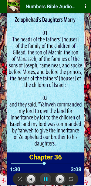 Numbers Bible Audio Offline Screenshot 3