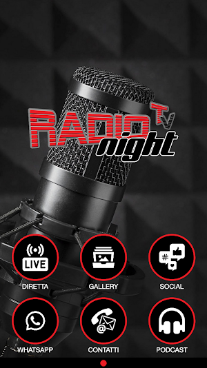 Radio Night Screenshot 0