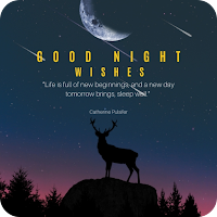 Good Night Wishes