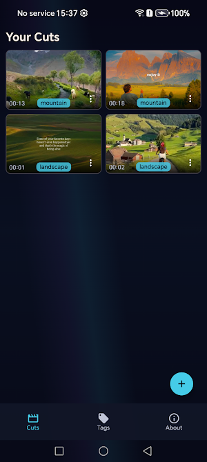 CineLoop Screenshot 0