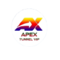 APEX TUNNEL VPN