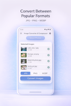 Image Converter – JPG PNG WebP Screenshot 3
