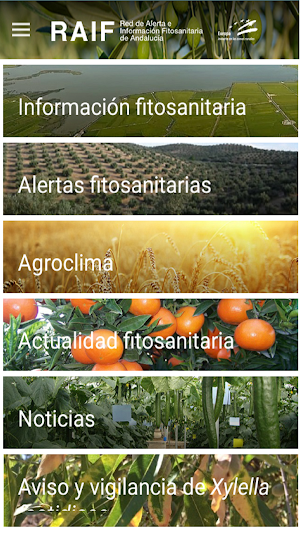RAIF Andalucía Screenshot 0