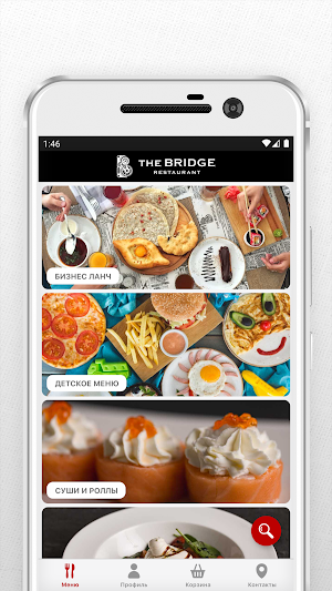 The Bridge delivery Screenshot 1
