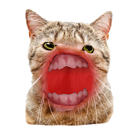 CatClicker