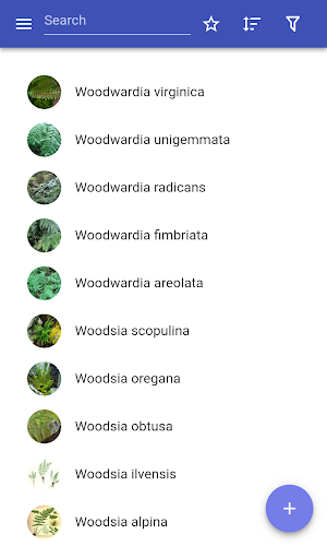 Fern species Screenshot 0