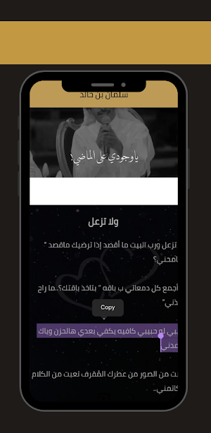 شعر مع شيلة Screenshot 0