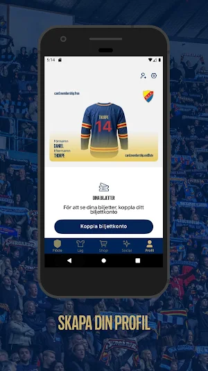 DIF Hockey Screenshot 3