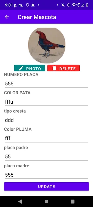 petpetro1 Screenshot 2