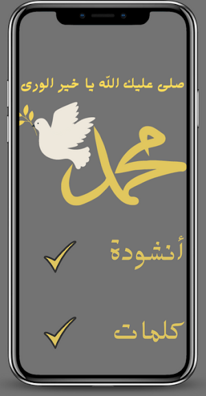 صلى عليك الله ياخير الورى Screenshot 0
