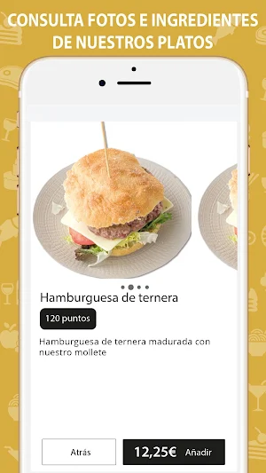 Solric Alta Taverna Screenshot 3