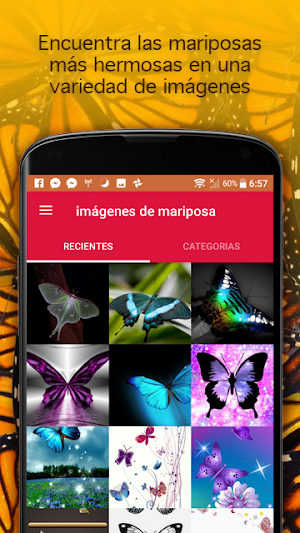 images of butterflies Screenshot 0