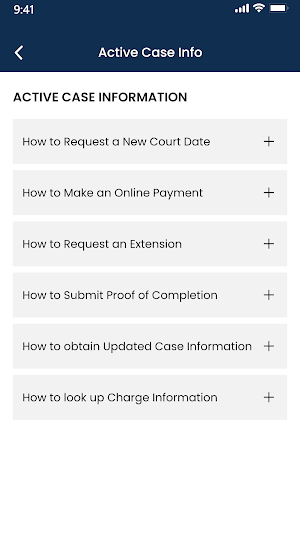 Reno Municipal Court Screenshot 1