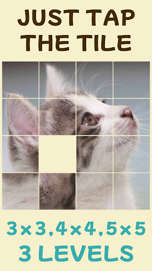 CAT PUZZLE GAME/Move the tiles Screenshot 1