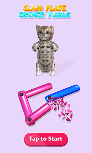 Glass Plate Rotate Puzzle! Screenshot 0