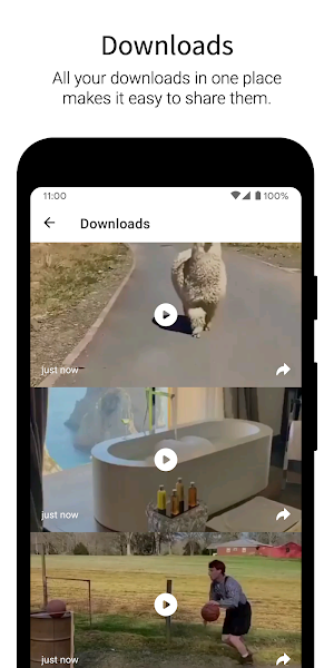 Viddit - Video Downloader for Reddit (With Audio) Screenshot 3