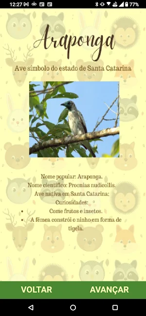 Flora & Fauna - Santa Catarina Screenshot 2