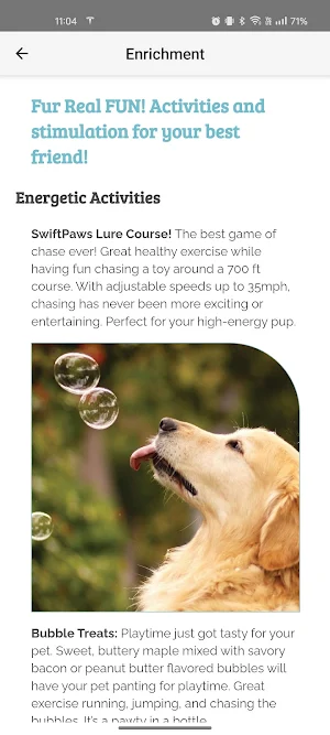 Four Paws Pet Ranch Screenshot 3