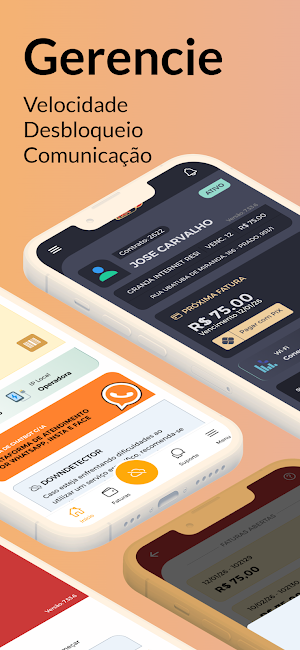 Flashnet Screenshot 1