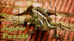 Pzls - free classic jigsaw puzzles for adults Screenshot 0