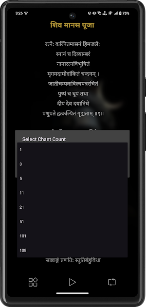 Shiv Manas Puja With Audio Screenshot 3