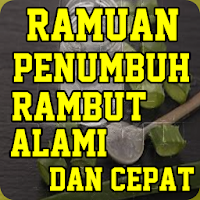Penumbuh Rambut Alami Cepat Da