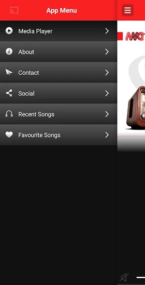 Radio Arina Screenshot 2
